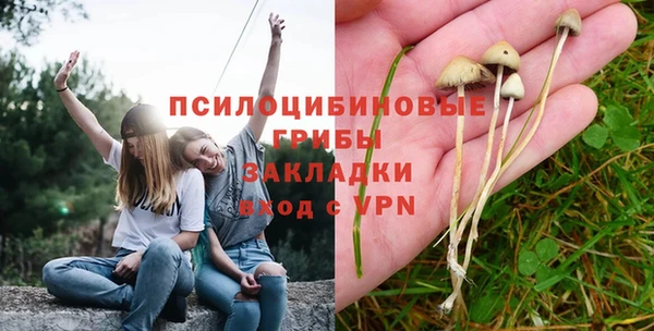 гашик Баксан