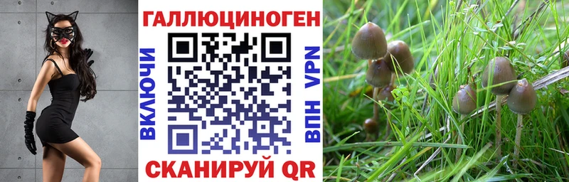Галлюциногенные грибы Cubensis Спасск-Дальний