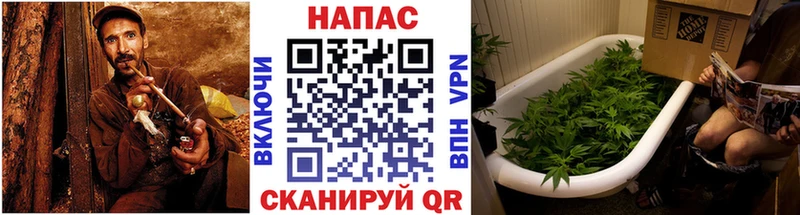 наркошоп  Спасск-Дальний  Конопля OG Kush 